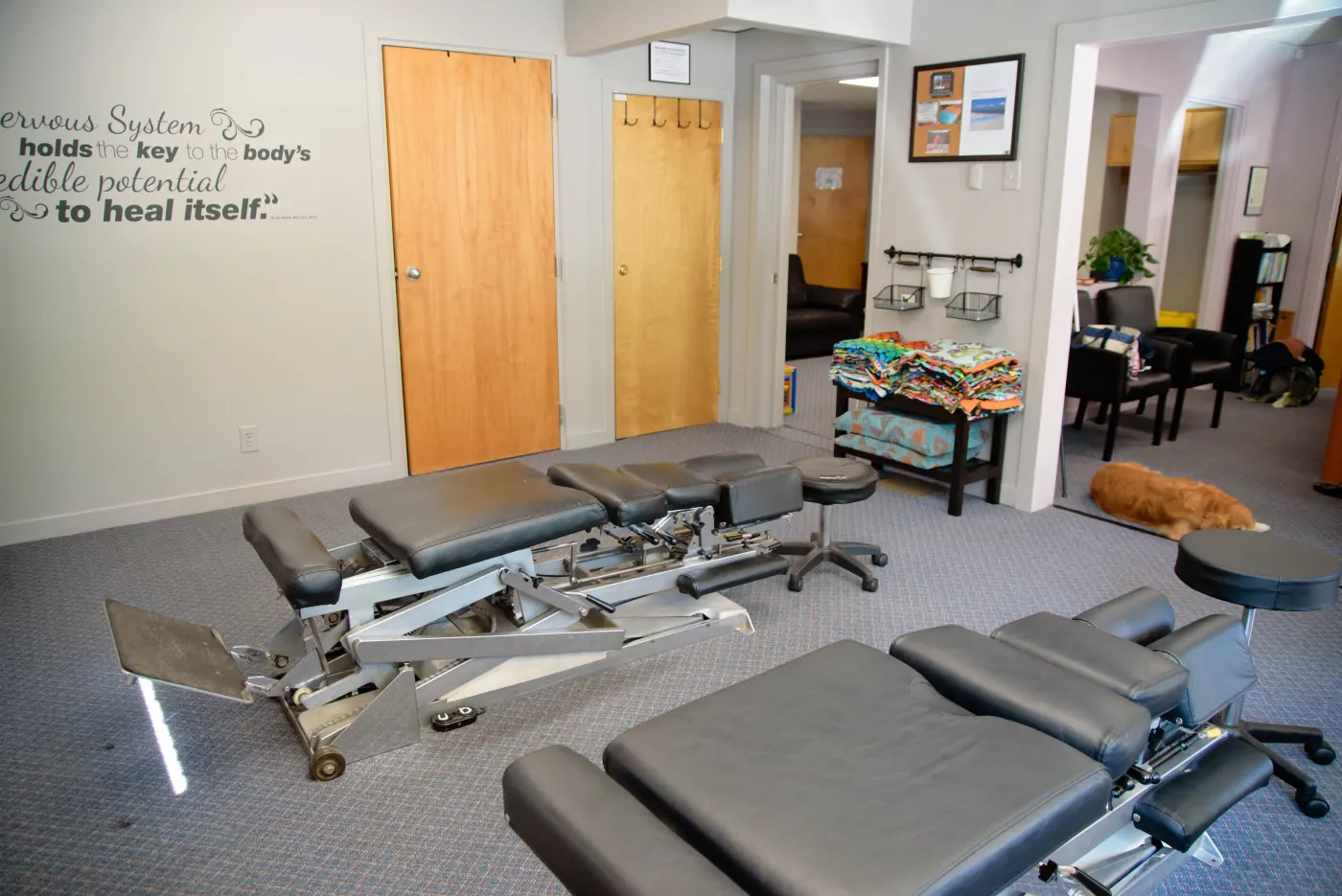 Inside the Denette Family Chiropractic office: adjusting tables, a wall quote about the nervous system, and the waiting area